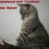 Аватар користувача